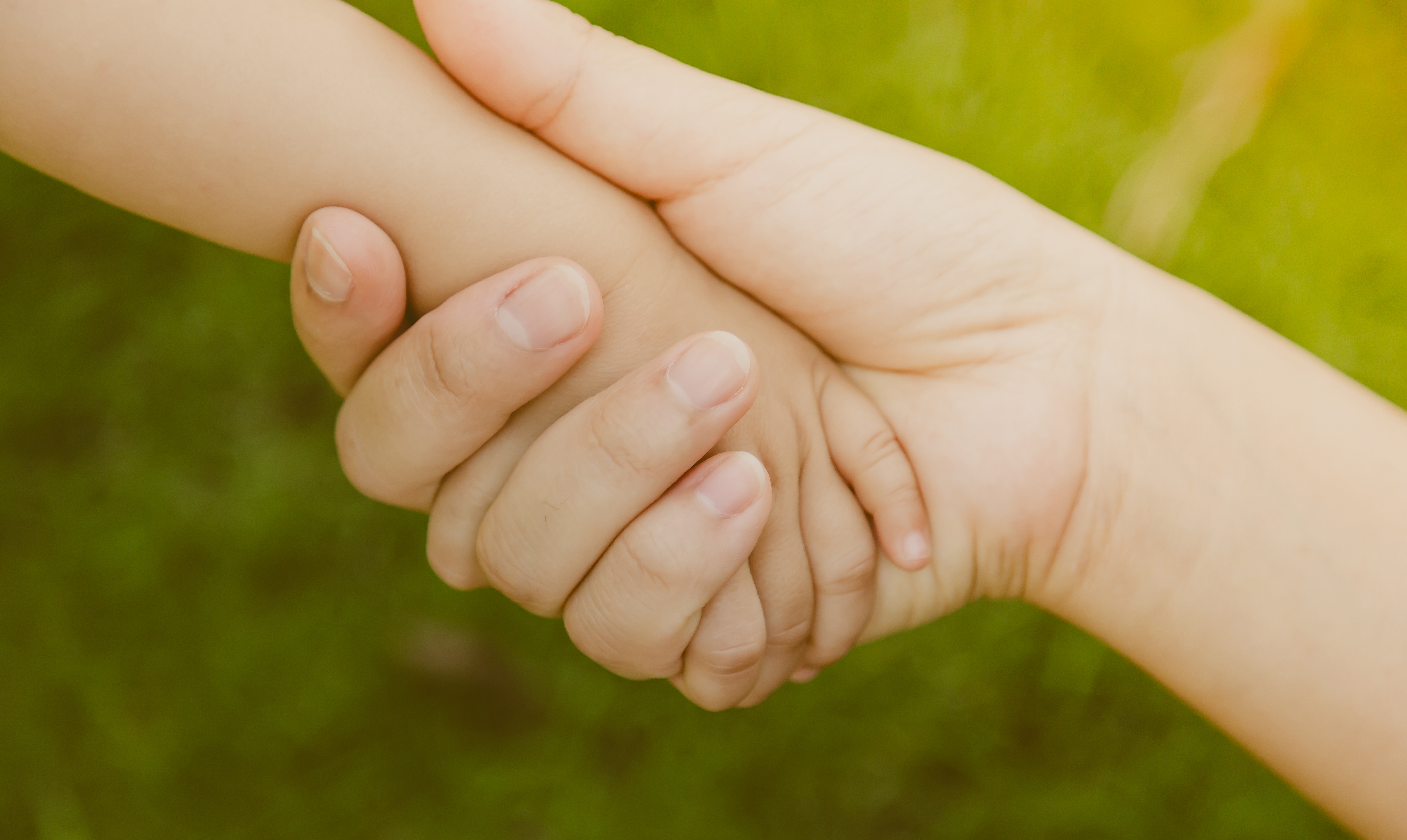 Communiqué du Comité de filière petite enfance du 18 janvier 2024